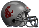 Logo:Cougar home helmet